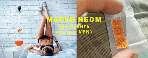 apvp Алзамай
